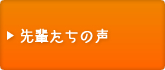 ��y�����̐�
