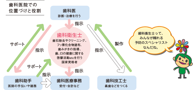 歯科医院での位置づけと役割