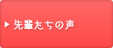 ��y�����̐�