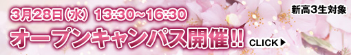 �R��28��(��)�I�[�v���L�����p�X�J��